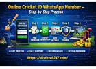 Online Cricket ID WhatsApp Number - Complete Step-by-Step Process to Get Instant ID