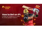 Golden444 IPL Cricket Betting Guide | Create Your Cricket ID Today