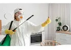 Affordable Pest Control Services Sydney for Homes and Business