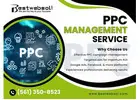 Drive Targeted Traffic with Expert PPC Management Services | Best Web Solutions
