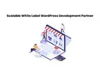 Scalable White Label WordPress Development Partner