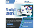 Web Designers