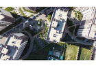 Professional Tree Management Services in Ireland | GEOTREE