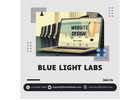 Best Web Design 