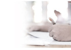 From Admission to Approval Made Easy