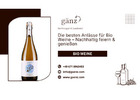 Die besten Anlässe für Bio Weine – Nachhaltig feiern & genießen