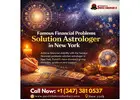 Famous Financial Problems Solution Astrologer in New York
