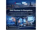 SAP Partner in Bangalore | SAP Partner in India
