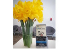 Our Chiro Brisbane