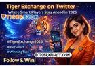 Tiger Exchange on Twitter - Where Smart Players Stay Ahead in 2026
