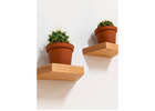 Geometric Wall Shelf Trends Reshaping Small Spaces!