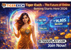 Tiger Exch - The Future of Online Betting Starts Here 2026