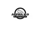Alpha K-9 Dog Training