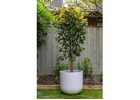 Elegant Artificial Bamboo for Calm Indoor Spaces
