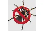 Pest Control St George | Bug Free Pest Control