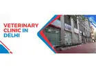 Emergency Veterinary Hospital in Gurgaon  | CGS Hospital