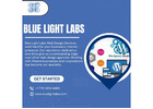 GA Web Design