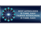 Best Astrologer in Tiruvannamalai 