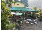 Best Resort In Nainital  | Rosastays