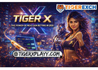 Tiger X - The Power of Next-Gen Betting in 2026