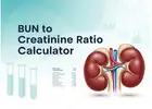 Accurate BUN to Creatinine Ratio Calculator for Quick Kidney Health Insights Online