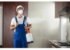 Pest Control Blackfalds
