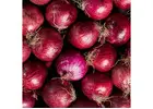 Red Onion Suppliers in Maharashtra