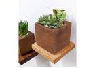 Mahogany Square Shelve for Tiny Spaces!