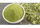 Moringa Powder Suppliers in Gujarat