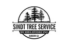 Sindt Tree Service