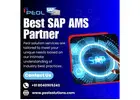 SAP AMS Partner in Bangalore