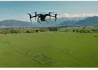 Drone Survey