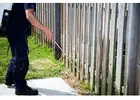 Reliable Pest Control Jacksonville Services Delivering Safe Effective Long Term Pest Solutions