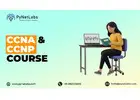Get Job-Ready Skills with Expert-Led CCNA and CCNP Course
