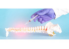 Pain Management Alexandria
