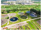 Algae treatment Australia