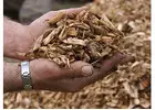 Tree Mulching and Woodchipping Sydney