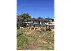 Land Clearing Sydney | Ben's Tree and Garden Services