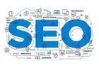Hire an SEO Agency in Delhi for SEO Plans for Growing Businesses