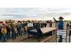 Find the Best Deals on Auction Trailer Listings Today
