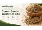 Cumin seeds wholesale suppliers in India