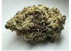 Buy Apple Fritter Weed Strain Online Canada