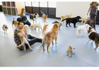Daycare In Home Mt.Tabor