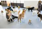 Daycare In Home Mt.Tabor