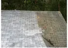 Pressure Roof Cleaning Wilderness