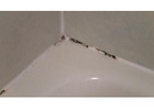 Reliable Grout Restoration Tampa for Fresh Surfaces 