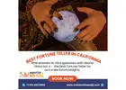Best Fortune Teller in California | Best Love Spells in California