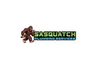 Sasquatch Plumbing Services Seattle