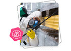 Pest Control SEO Company – Trusted Dubai SEO Company