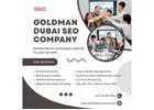 SEO Services in Dubai – Professional Dubai SEO Company